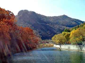 澳门天天免费精准大全，泰安市泰师附小